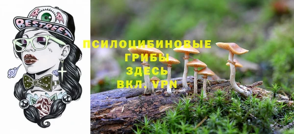 трава Армянск