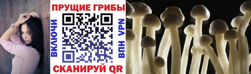 Галлюциногенные грибы мицелий  Ипатово 
